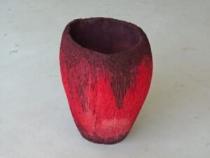 2010 - Red Dyed Queen Palm