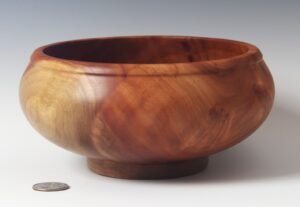 D_Graham eucalyptus bowl 1375